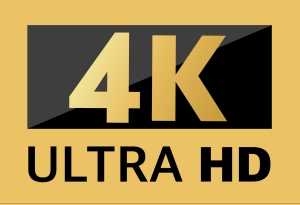 4K logo